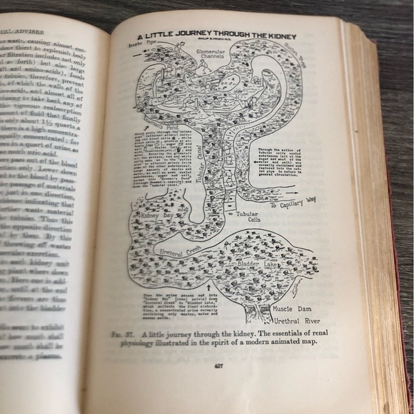 Vtg Modern Home Medical Adviser - Picture 8 of 16